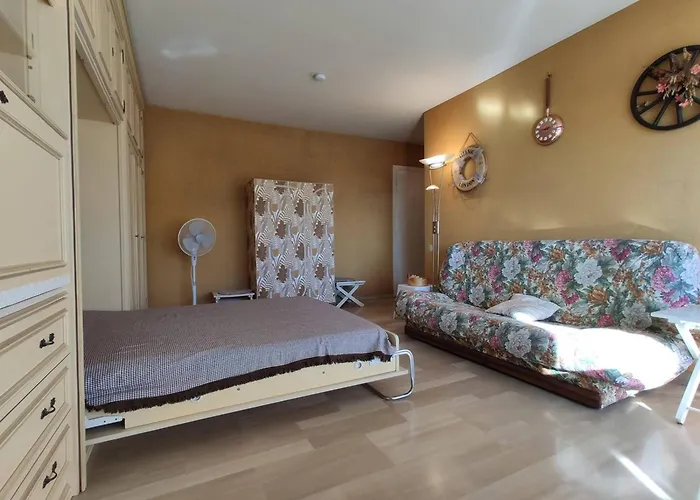 Apartman Studio Pour 4 Avec Terrasse Ensoleillee, Parking Privatif, A 250m Des Plages A - Fr-1-252-153 *